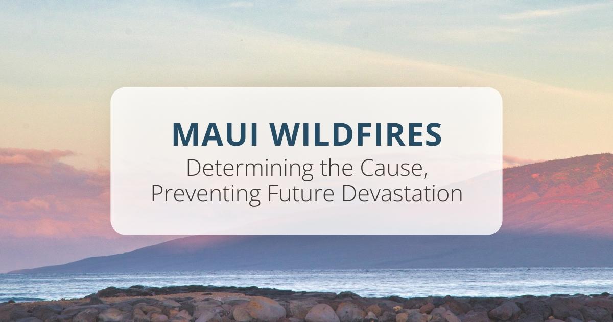 Maui Wildfires Determining the Cause, Preventing Future Devastation